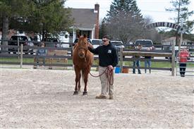 LR-WRF 0402026 Retreat-3145